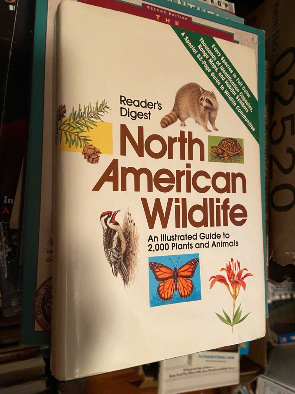 Vintage 70s 1970s North American Wildlife Book animal animals tree trees flower